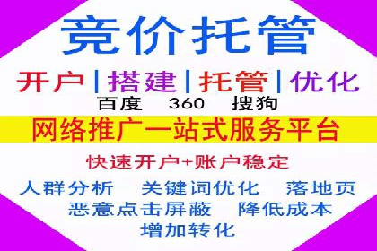 SEM托管公司成功案例：助力企业品牌提升