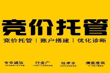 竞价代运营的技巧与策略：一则教育行业的成功案例